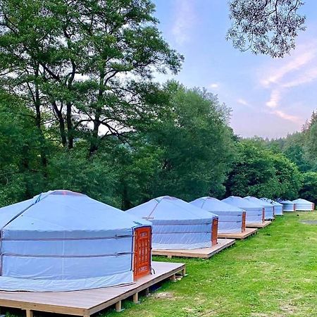 Mongolian Yurt Camp Hotel Чешки Щернберк Екстериор снимка